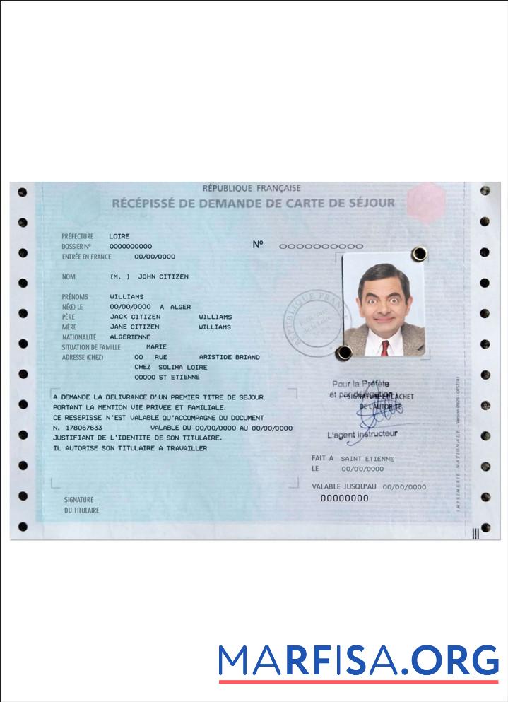Realistic French residence permit (carte de séjour) sample